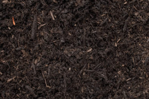 Black Mulch